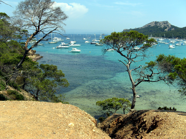 2006-07 WE Pereira Porquerolles 0001.jpg
